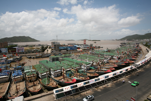岱山渔港经济区图片
