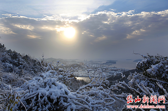 岱山迎来2010年的第一场雪